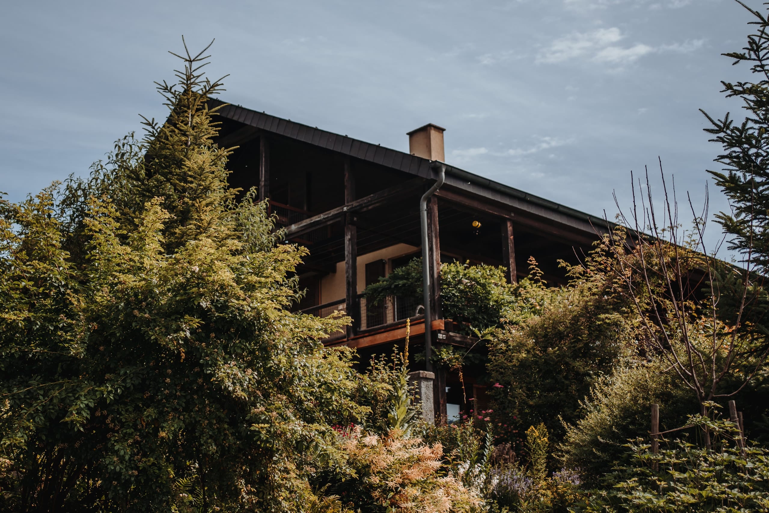 Ein Holzhaus mit Balkon hinter Büschen und Bäumen