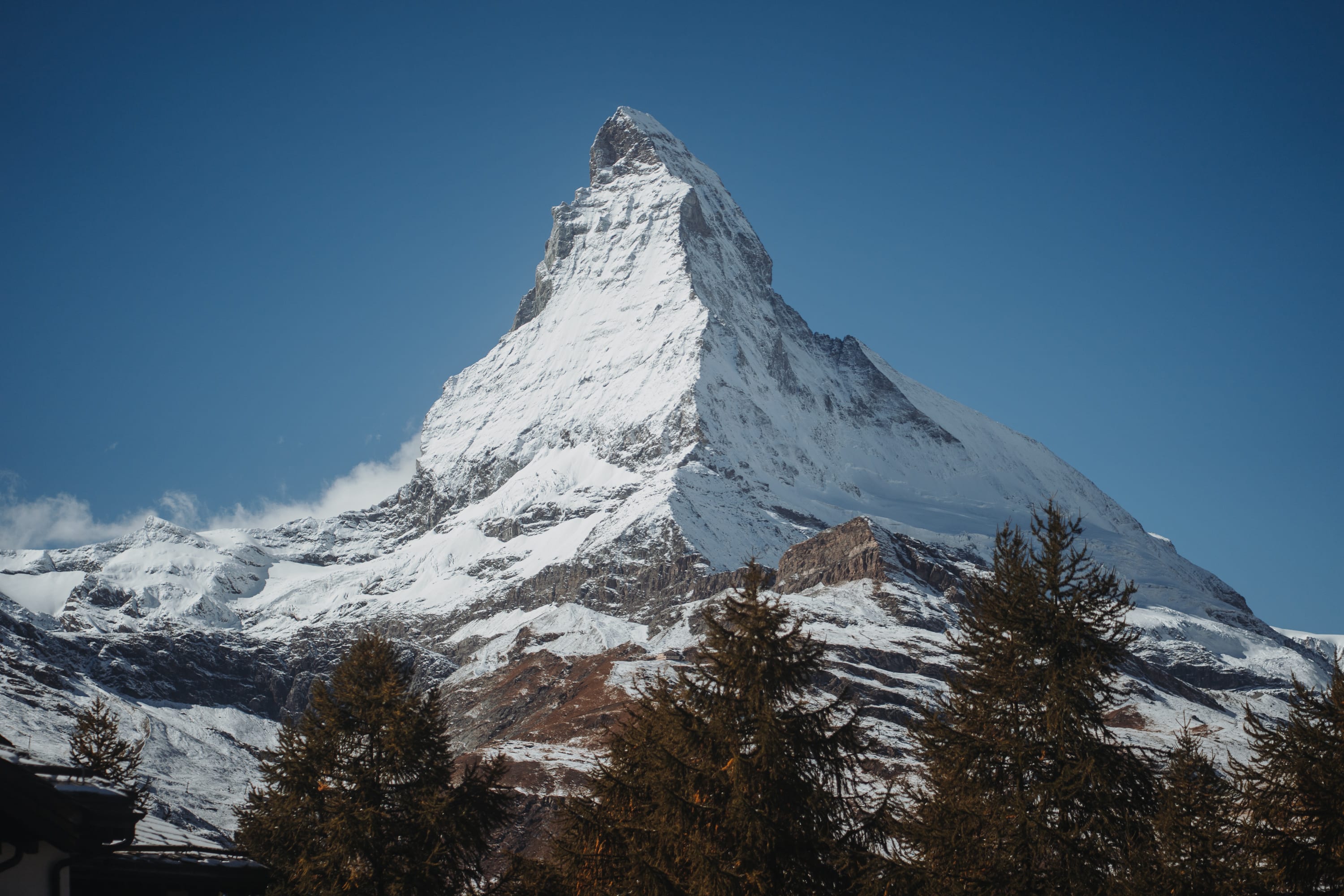 Das schneebedeckte Matterhorn vor tiefblauem Himmel über dunklen Tannen