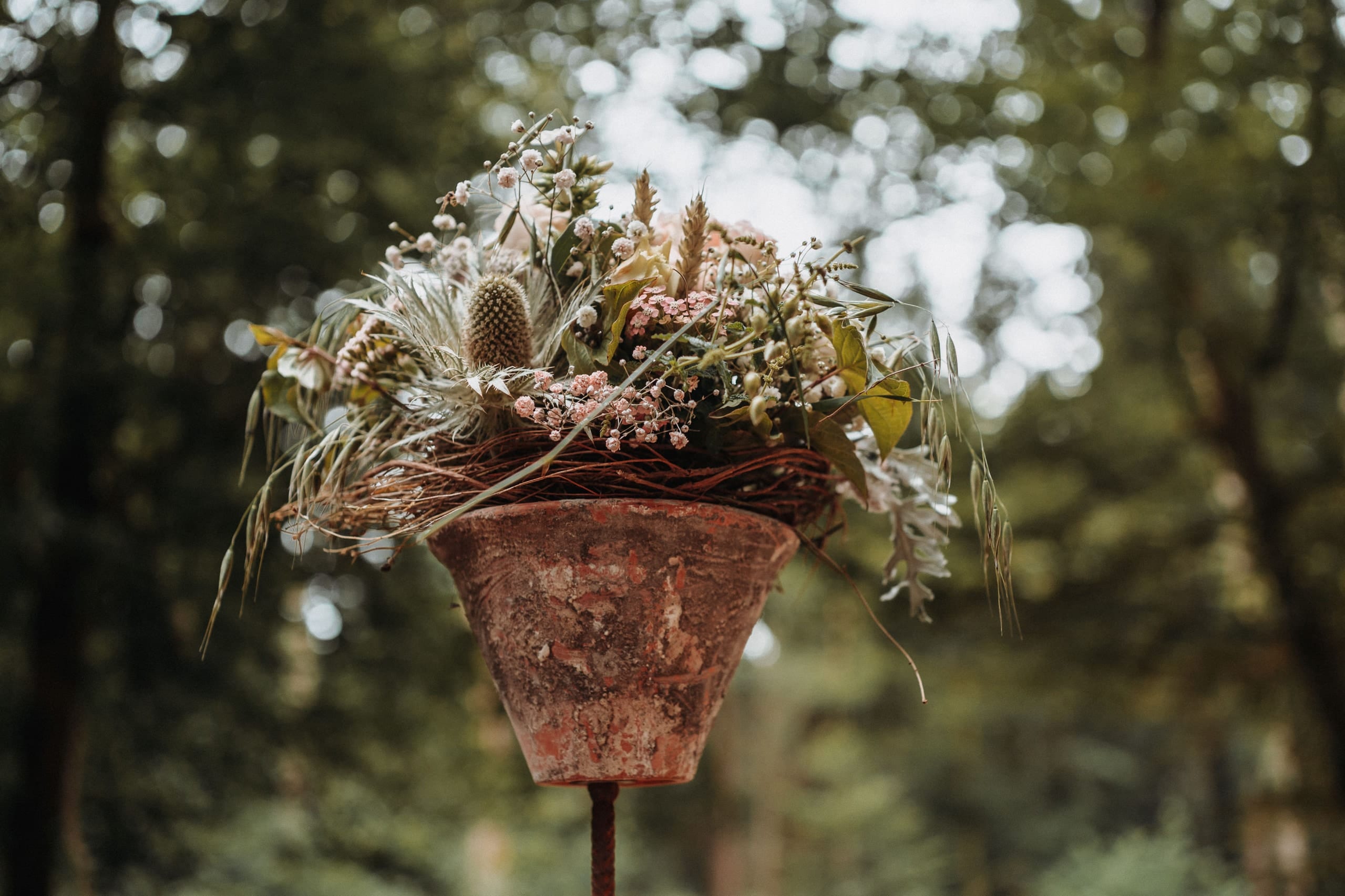 Trockenblumen in einem Tontopf als Dekoration der Trauung im Wald