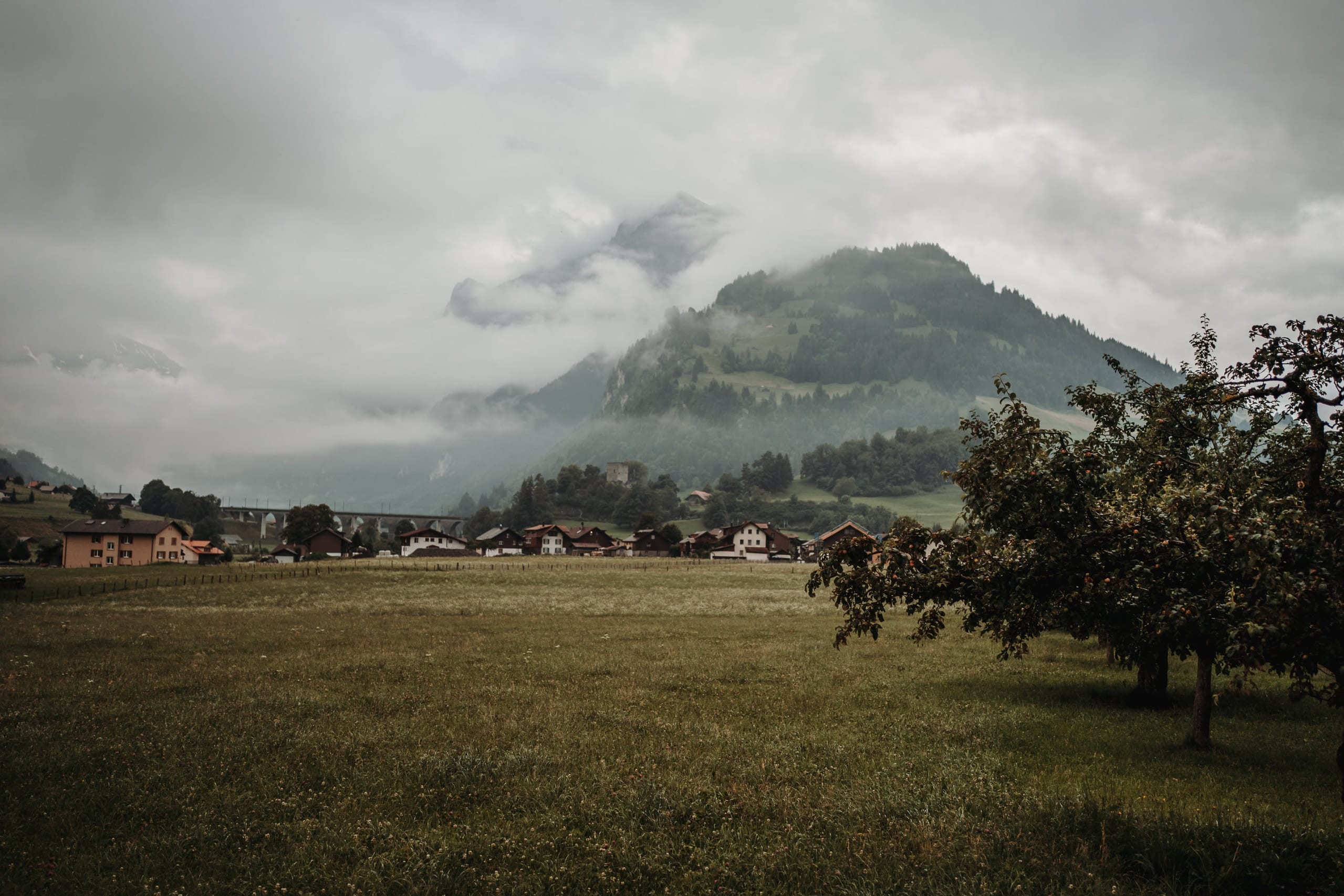Wiese, Obstbaum und Dorf unter tief hängenden Wolken